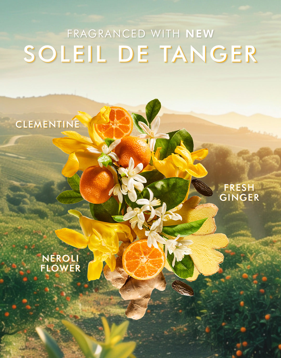 Handtvätt Soleil de Tanger