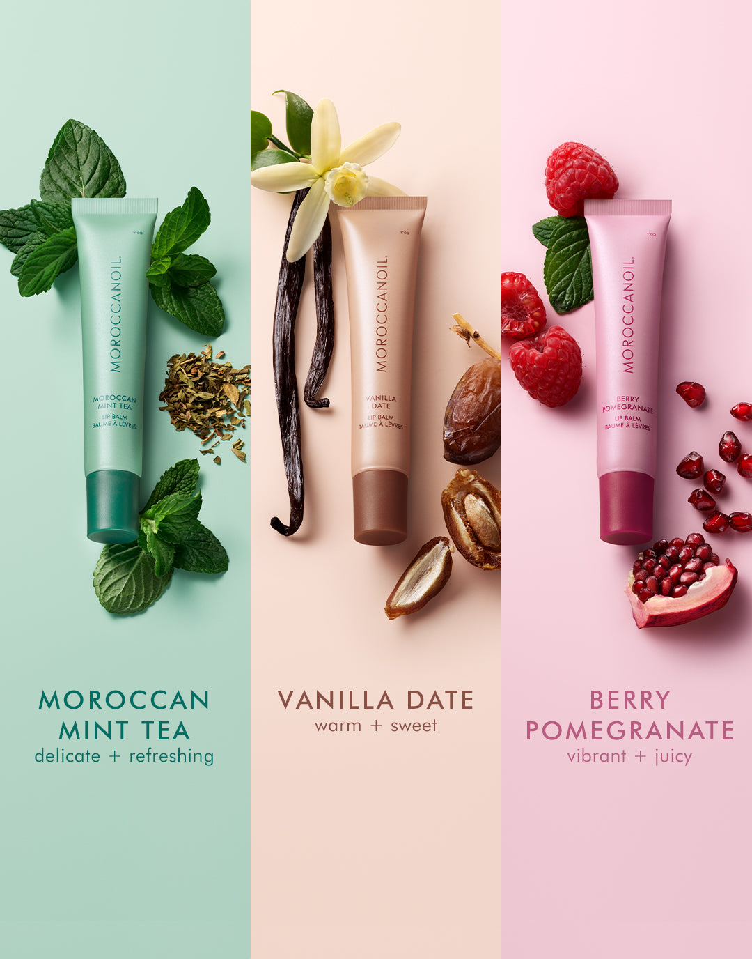Moroccanoil läppbalsam-trio