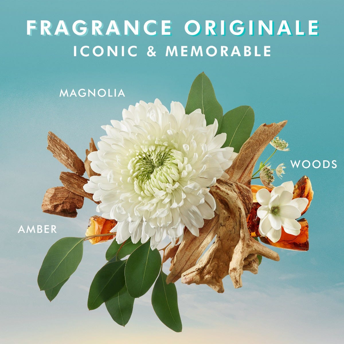 Handtvätt Fragrance Originale